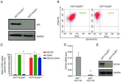 Differential Expression Of The Csc Surface Marker Cd133 In P53 And