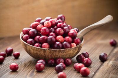 Manfaat Buah Cranberry Untuk Kesehatan Tubuh