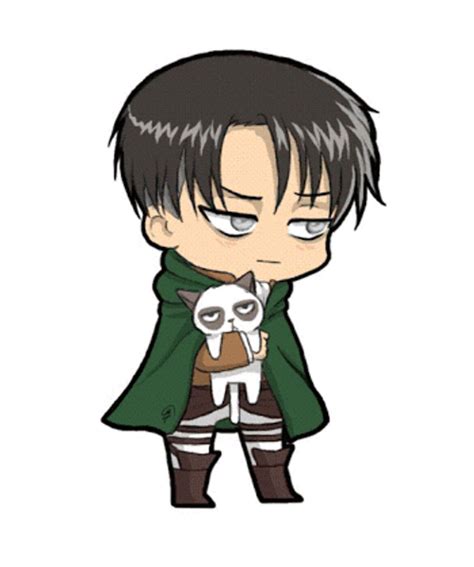 Top 99 Hình ảnh Levi Ackerman Chibi đẹp Nhất Tải Miễn Phí