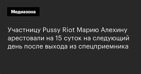 Участницу Pussy Riot Марию Алехину арестовали на 15 суток на следующий день после выхода из