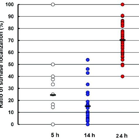 A Effect Of Temperature On Catalase Activity Extracellular And