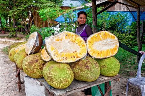 La Fruta Gigante Que Sabe A Cerdo Y Que Es Furor Para La Elaboración De