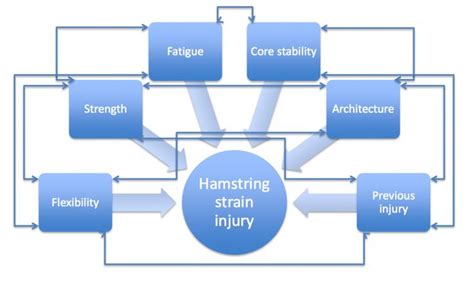 Hamstring-strains | Exercise, Hamstring workout, Athlete