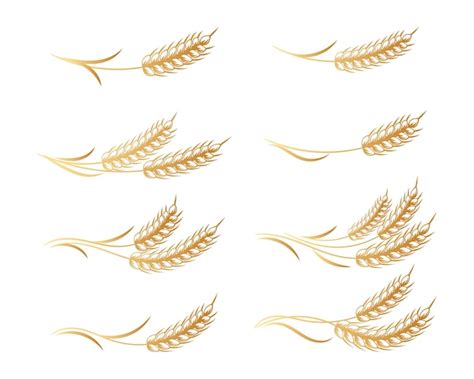 Premium Vector Set Of Logos From Spikelets Of Wheat Rye Barley