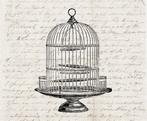 Antique Birdcage Illustration