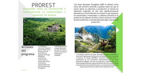 Revista Patrimonio Natural Y Cultural 1 Page 8