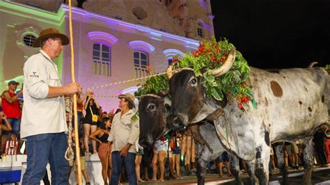 Cortada do Mastro Festa de São Benedito 2023 Serra Sede YouTube