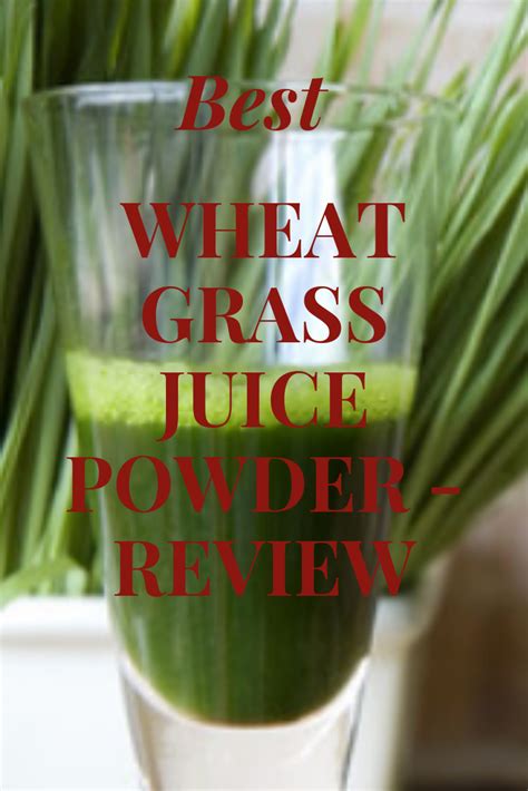 Best Wheatgrass Juice Powder Which One Gets Your Green Thumb Up