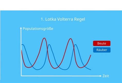 Lotka Volterra Regeln Flashcards Quizlet