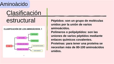 Clasificación Estructural de Aminoácidos MARYURI LISBETH uDocz