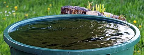 Jalisco Jalisco Inaugura La L Nea Morada Red Que Abastecer De Agua