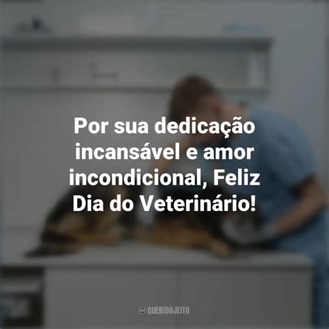 Dia do Veterinário Frases Perfeitas Querido Jeito