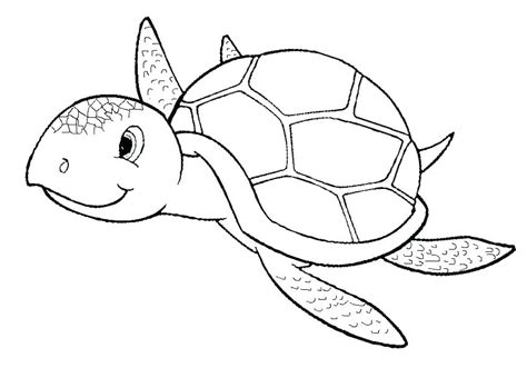 Turtle Shell Coloring Page at GetDrawings | Free download