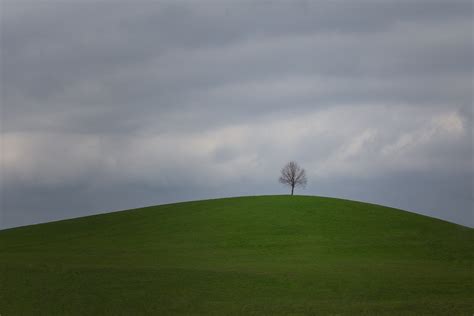 Free Images Landscape Tree Nature Grass Horizon Mountain Cloud