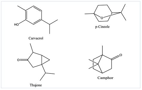 Molecules Free Full Text Antioxidant And Antimicrobial Potencies Of