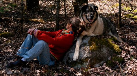 Types of Bone Cancer in Dogs | Bone Cancer Dogs, a nonprofit organization