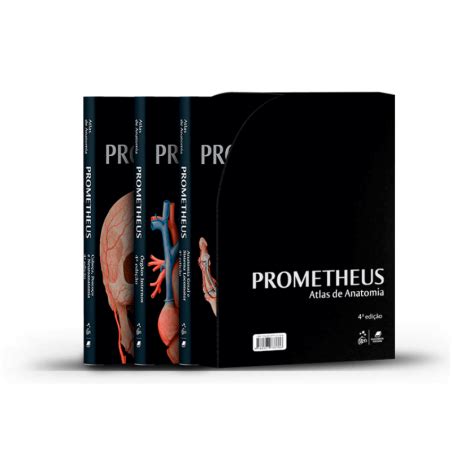 Prometheus Atlas de Anatomia 4 ª Ed 3 Volumes