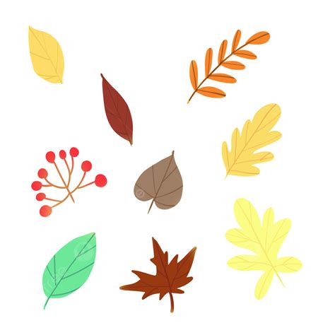 Fallen Leaves Png Transparent Images