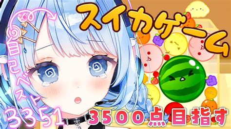 スイカゲーム 】朝活！3500点とりたい！！！！【 白樺るるは Vtuber 】 Youtube