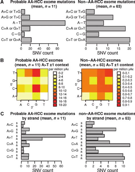 Aa Mutational Signatures In Hcc A Numbers Of Mutations In Each Of