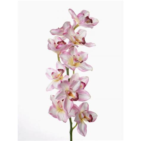 Acheter des Tige d orchidée Cymbidium artificielle KALAH blanc rose