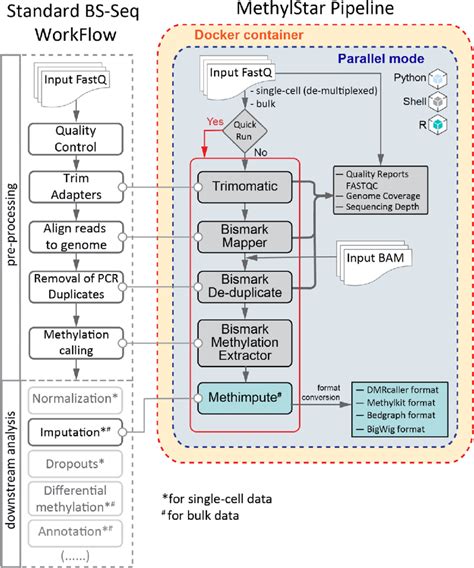 Basic Workflow Of Methylstar Showing The Pipeline Architecture The