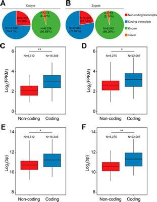 Frontiers Functional Evaluation Of Ltr Derived Lncrnas In Porcine