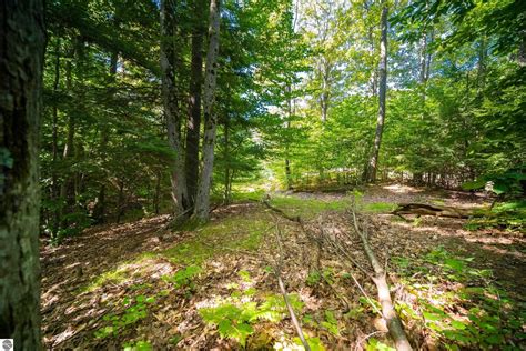 Onekama Manistee County MI Undeveloped Land Lakefront Property