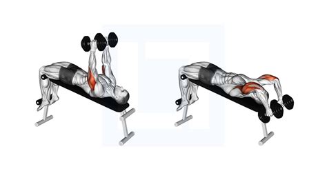 Dumbbell Decline Triceps Extension Guide Benefits And Form