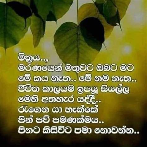 සබ්බං පහාය ගමනීයං - සියල්ල හැරදා යා යුතුය. 🙏🌼🙏 