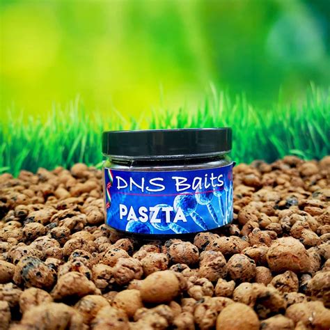 paszta dnsbaitshu