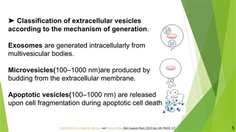 Exosome Drug Delivery System Pptx