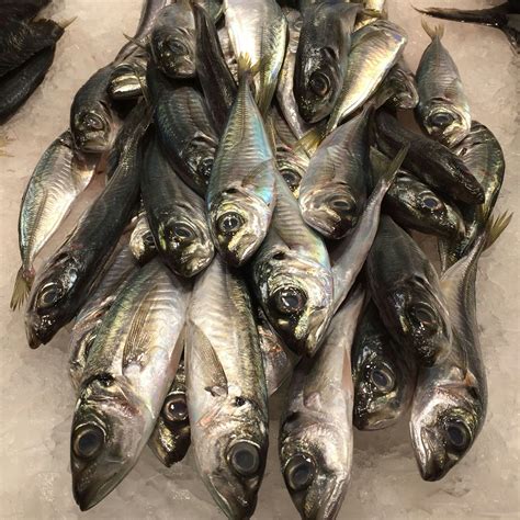 Free Stock Photo Of Fish Sardines