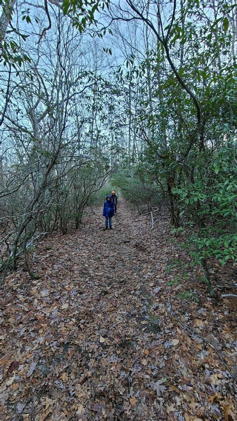 Stepstone Falls Trail - Rhode Island | AllTrails