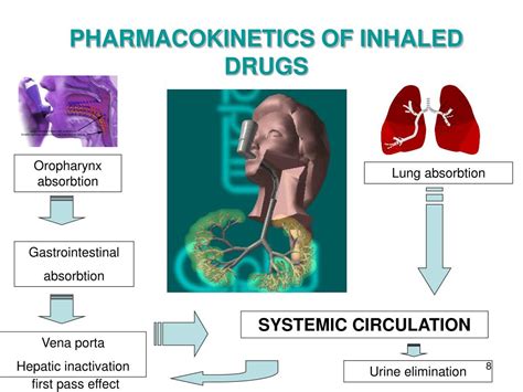 Ppt Inhaler Devices Powerpoint Presentation Free Download Id686613