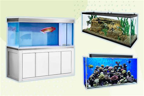 The Best Goldfish Tanks Of By The Spruce Pets Atelier Yuwa Ciao Jp