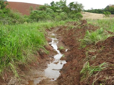 Batalh O Ambiental Da Brigada Militar Flagra Destrui O De Vegeta O