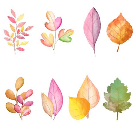 Premium Vector Watercolor Autumn Leaves Collection