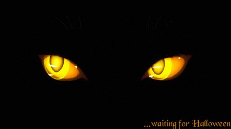  Halloween And Black Cat  On We Heart It Eye Art Dark Art