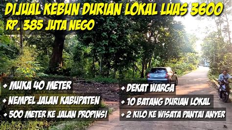 Terjual Kebun Durian Lokal Produktif Luas M Nempel Jalan