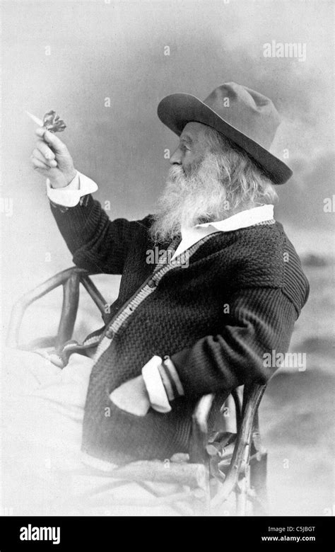 Walt Whitman Half Length Portrait Seated Facing Left Wearing Hat