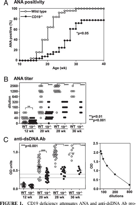 Figure From Systemic Autoimmunity And B Cell Deficiency Exacerbates