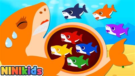 Baby Shark Was Born Meet The Baby Baby Shark Hospital