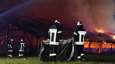 150 Tiere sterben bei Stallbrand im Allgäu FM1Today