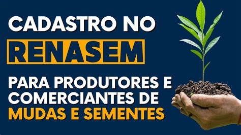 Renasem Produtores E Comerciantes De Sementes E Mudas Devem Se