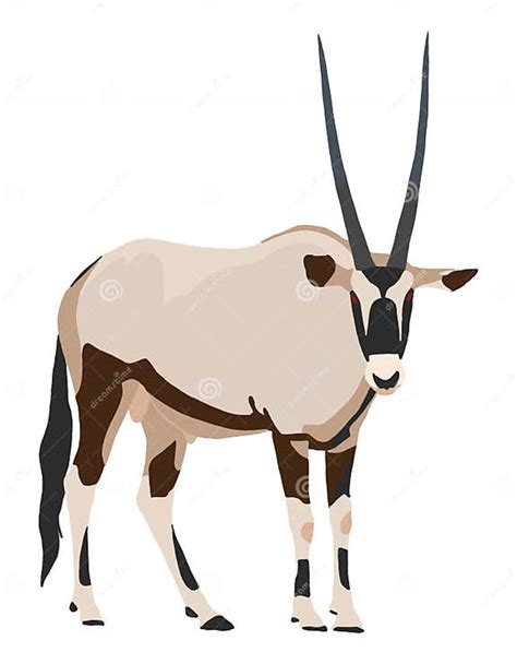 Oryx From Side Looking Towards Illustration Stock Illustration