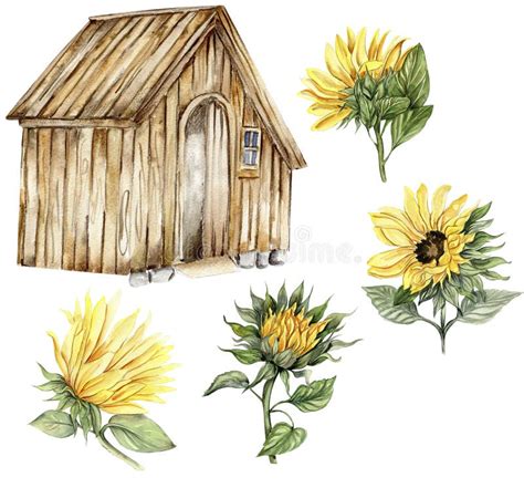 Watercolor Sunflowers Card Border Stock Illustrations 929 Watercolor