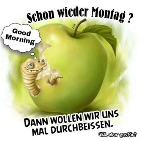 Sch Nen Montag Und Wochenstart Montag Spr Che Lustige Guten