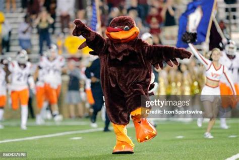 Hokie Bird Photos and Premium High Res Pictures - Getty Images