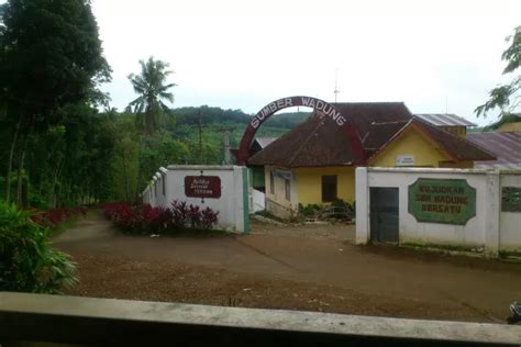 Desa Tersembunyi di Kabupaten Jember Ini Letaknya Ditengah Hutan ...